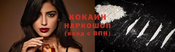 прущие грибы Аркадак