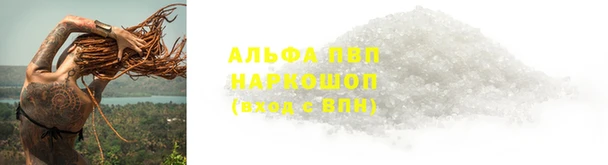 прущие грибы Аркадак
