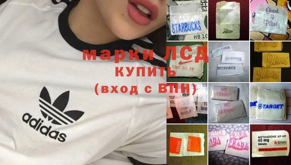 прущие грибы Аркадак