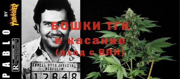 прущие грибы Аркадак