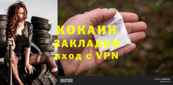 прущие грибы Аркадак